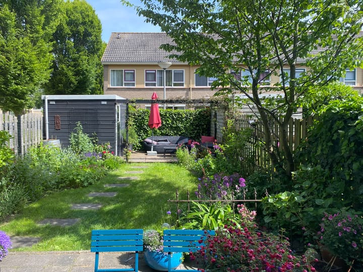 Foto 4 van de Werven 37