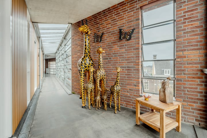 Foto 11 van Lage Ham 13-03