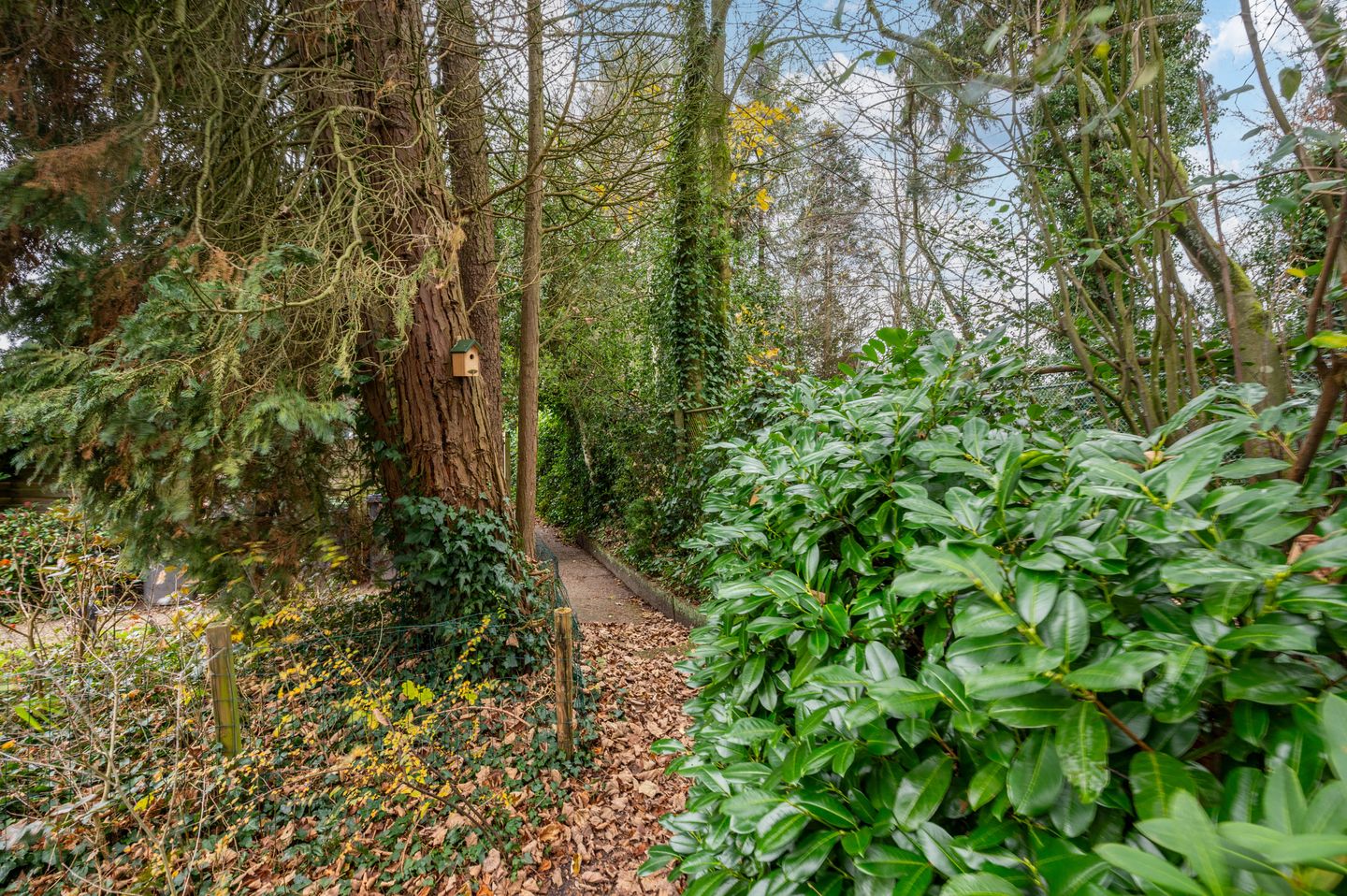 Foto 19 van Van Goghstraat 34