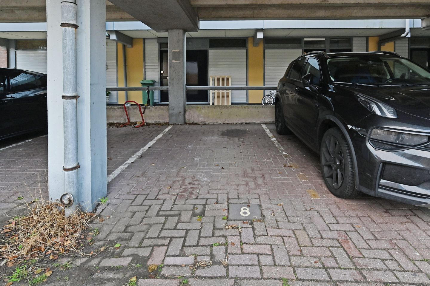 Foto 40 van Donizettirode 8