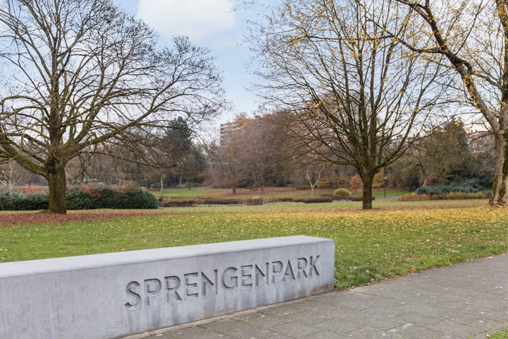 Photo 29 of Asselsestraat 287