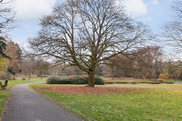 Photo 30 of Asselsestraat 287