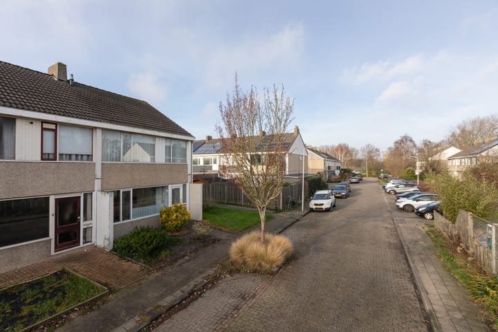 Foto 36 van Gossepalen 38