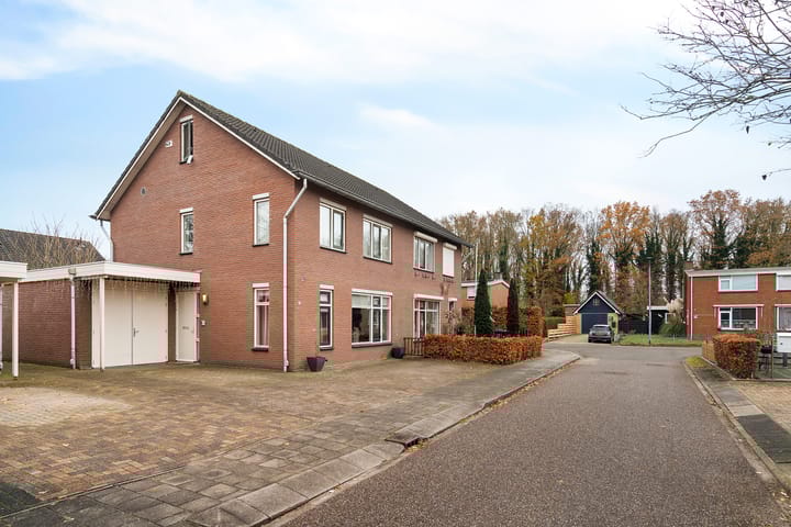 Foto 3 van Boekweitveld 25