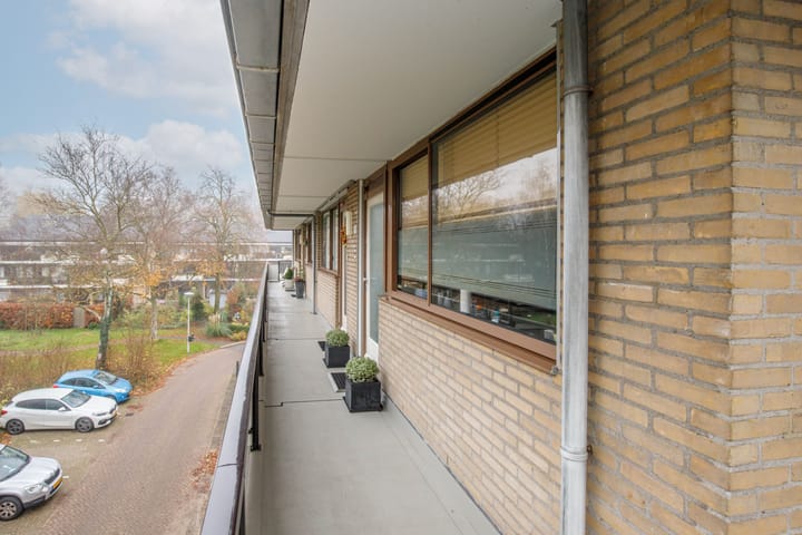 Foto 7 van Catsveld 45