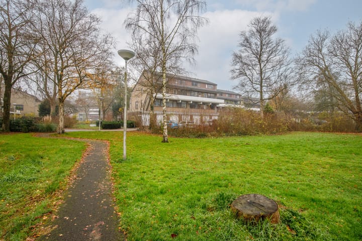 Foto 35 van Catsveld 45