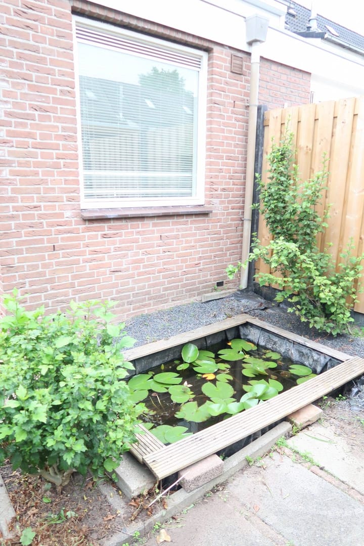 Foto 12 van Zwanenkamp 817