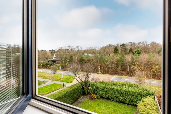 Foto 28 van Vlierbessenstraat 8