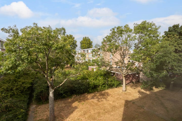 Foto 21 van Stuart Millpad 81