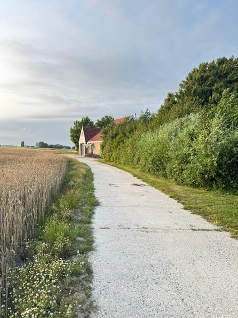 Photo 44 of Rijksstraatweg 9