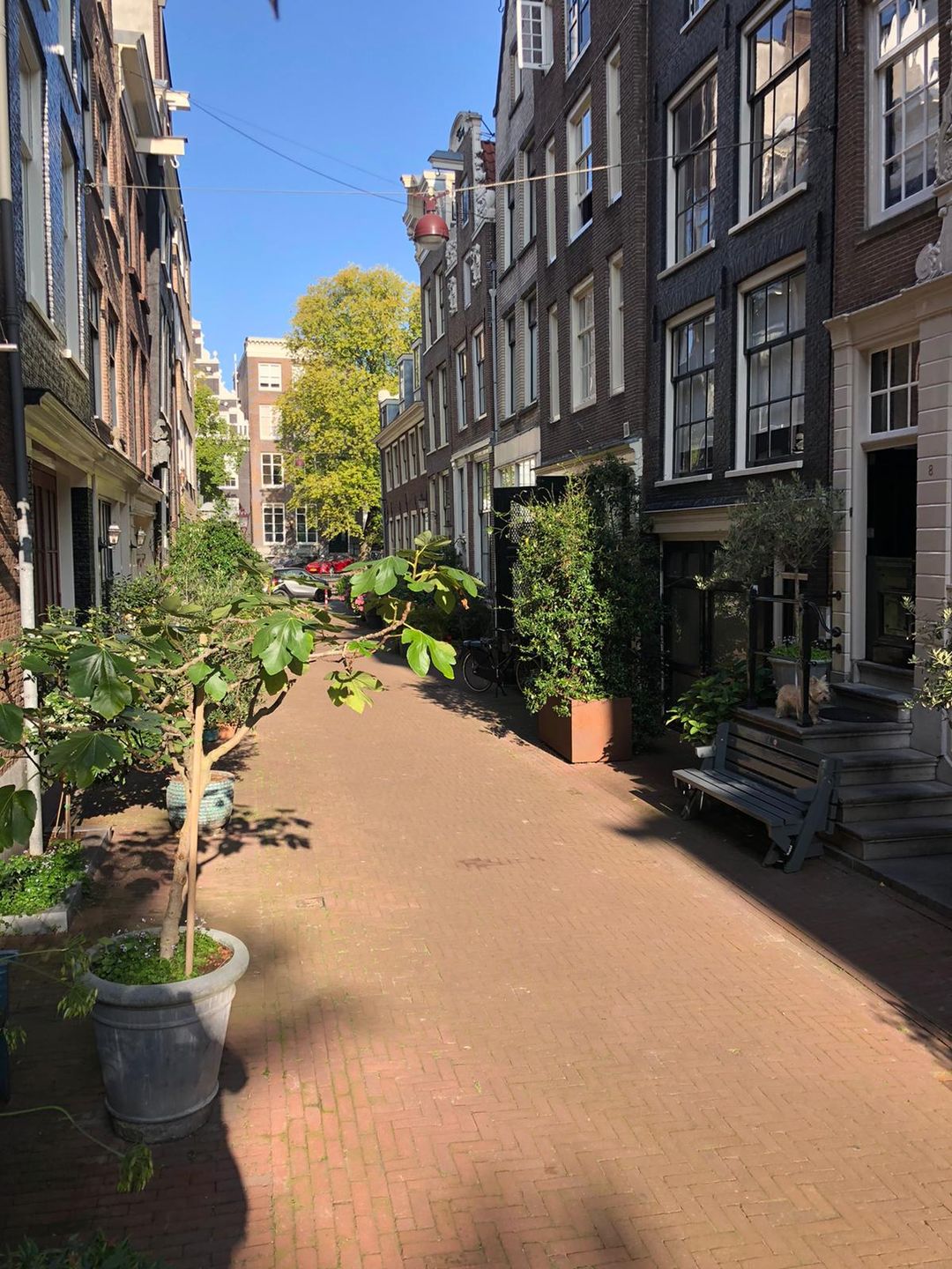 Photo 53 of Bergstraat 8