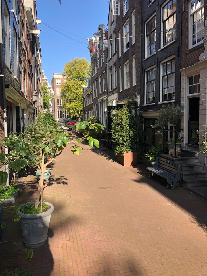 Foto 53 van Bergstraat 8