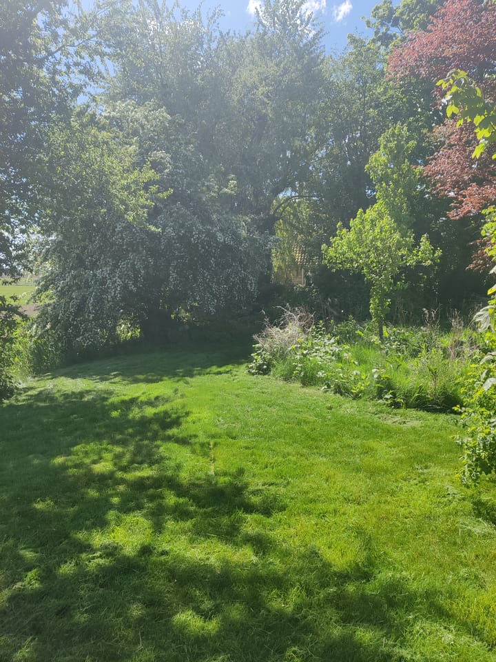 Foto 52 van Oldenzijlsterweg 19