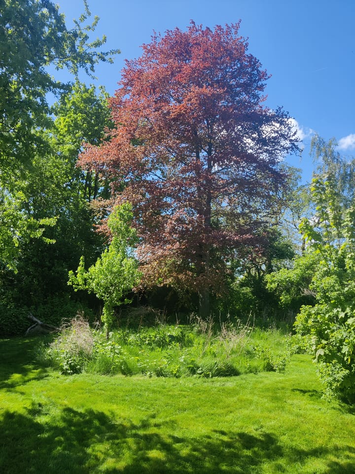 Foto 53 van Oldenzijlsterweg 19