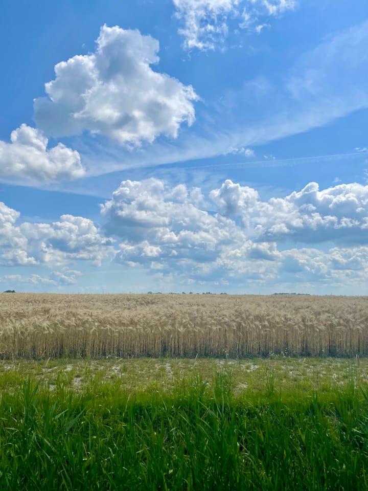 Foto 54 van Oldenzijlsterweg 19