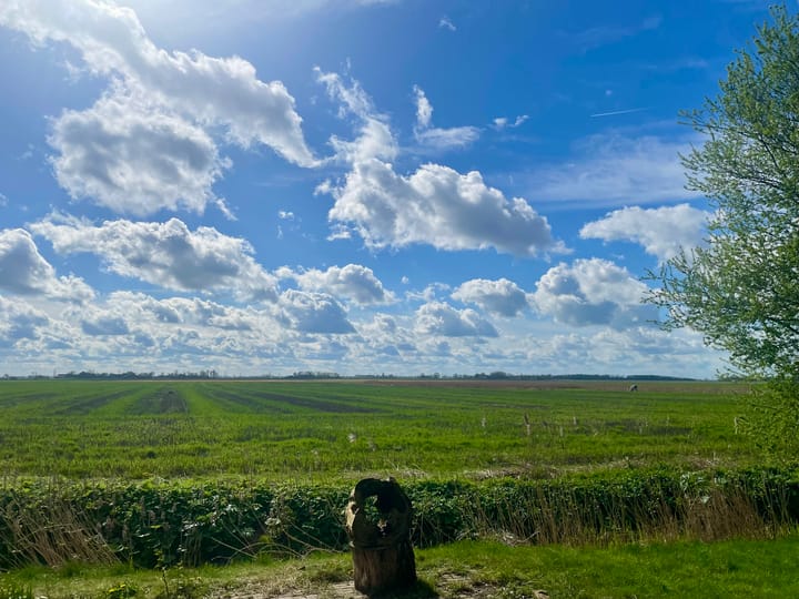 Foto 55 van Oldenzijlsterweg 19