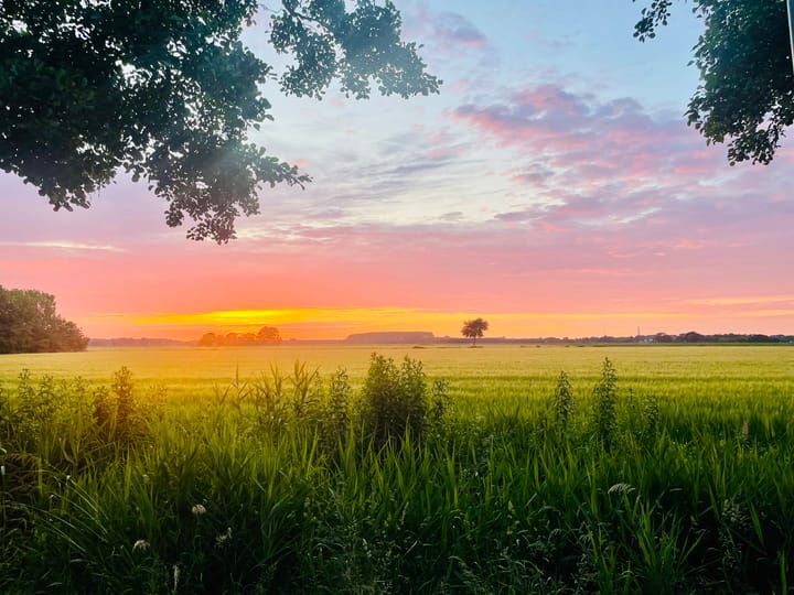 Foto 58 van Oldenzijlsterweg 19