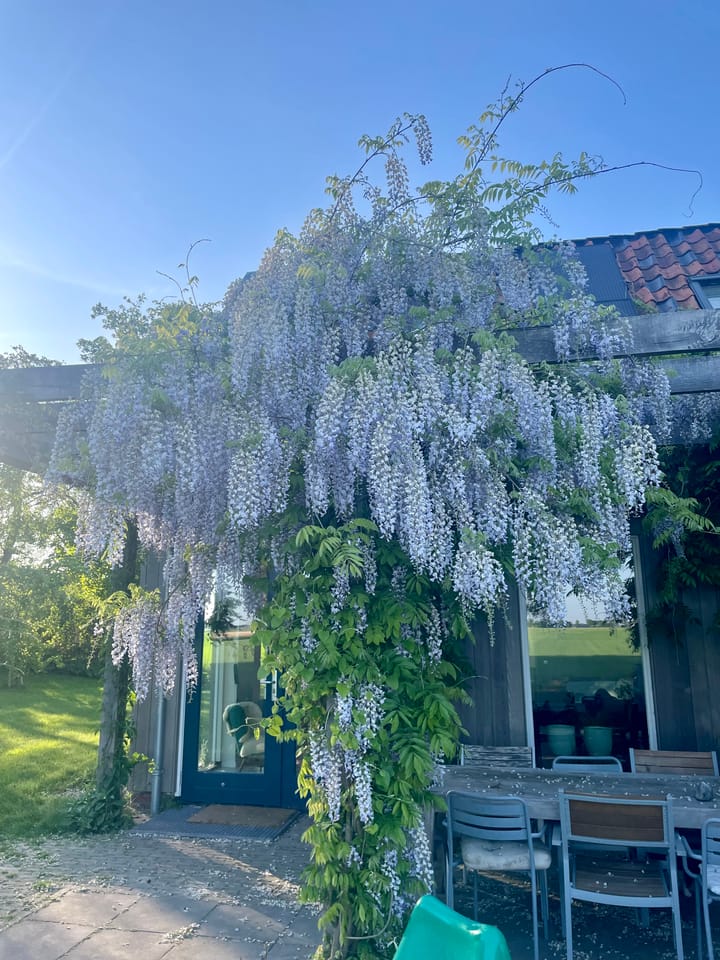 Foto 61 van Oldenzijlsterweg 19