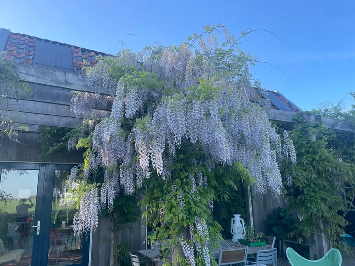 Foto 62 van Oldenzijlsterweg 19