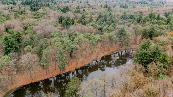 Photo 56 of Laan van de Eekharst 164