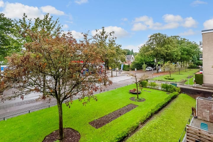 Foto 21 van Brinklaan 291