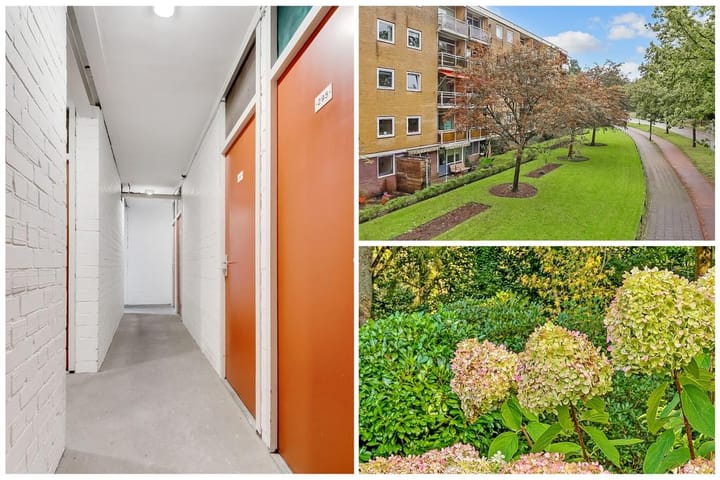 Foto 29 van Brinklaan 291