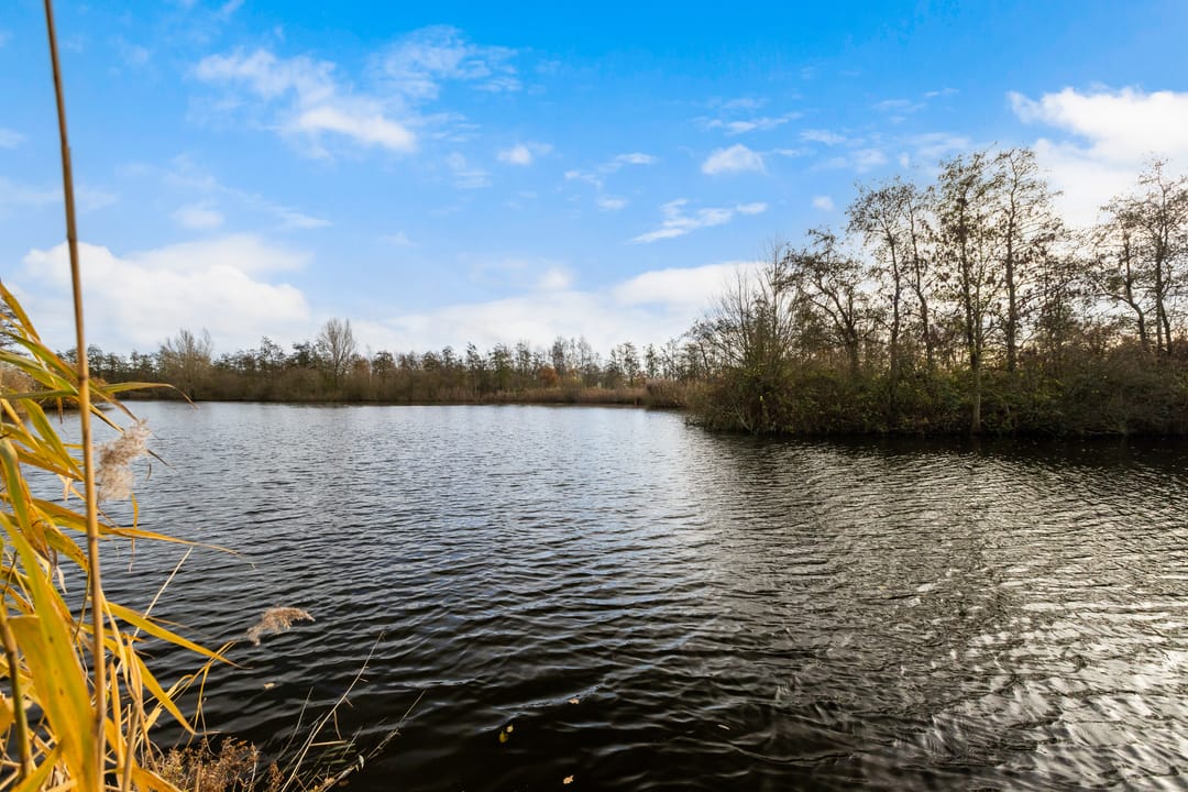 Foto 53 van Belcantodreef 27