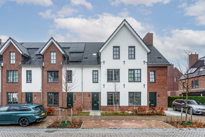 Foto 1 van Honingbij 3