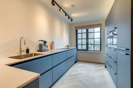 Honingbij 3 tertiary image