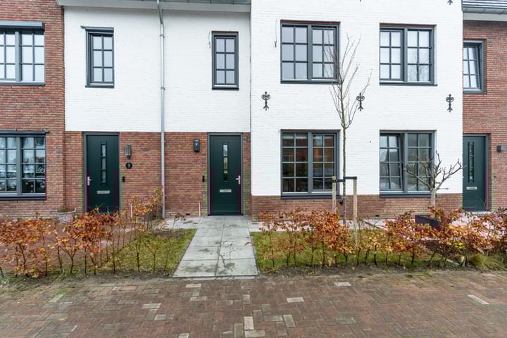 Foto 4 van Honingbij 3