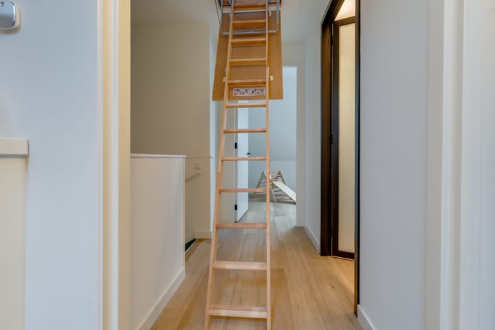 Foto 29 van Honingbij 3