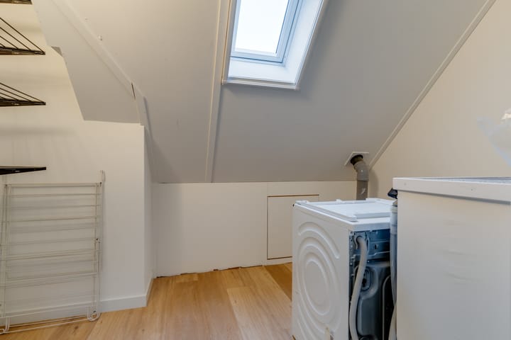 Foto 36 van Honingbij 3