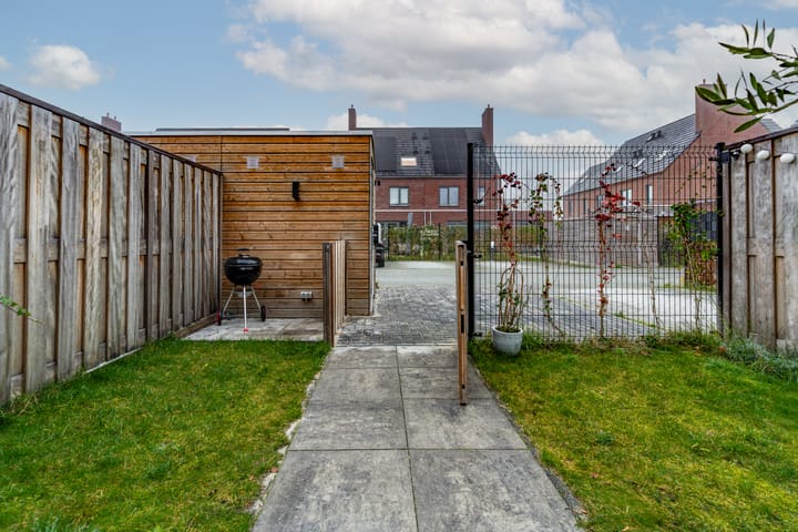 Foto 38 van Honingbij 3