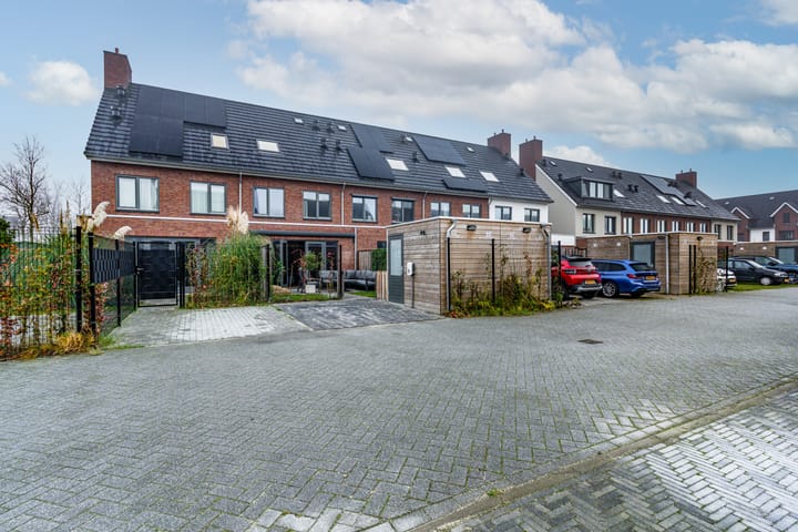 Foto 40 van Honingbij 3