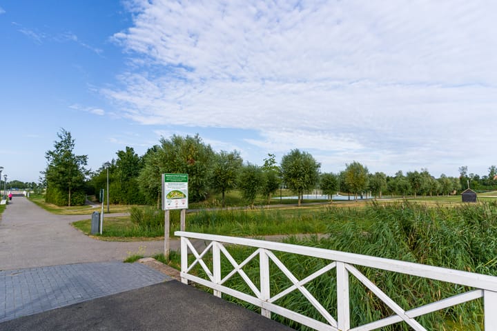 Foto 42 van Honingbij 3