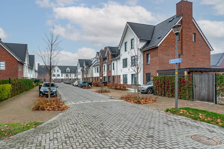 Foto 43 van Honingbij 3