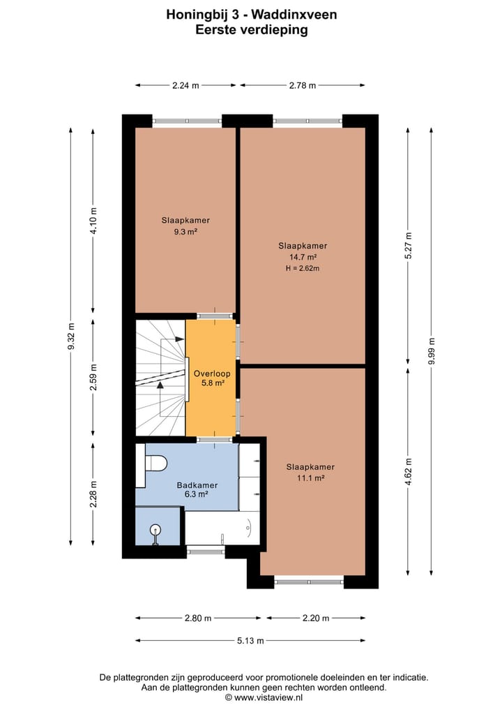 Foto 48 van Honingbij 3