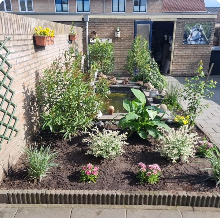 Foto 44 van Limburgstraat 2