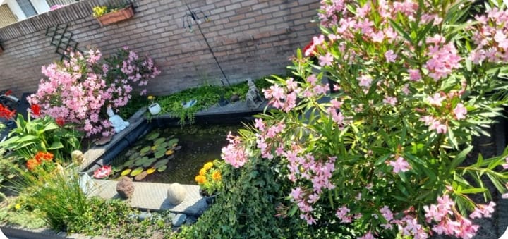 Foto 45 van Limburgstraat 2