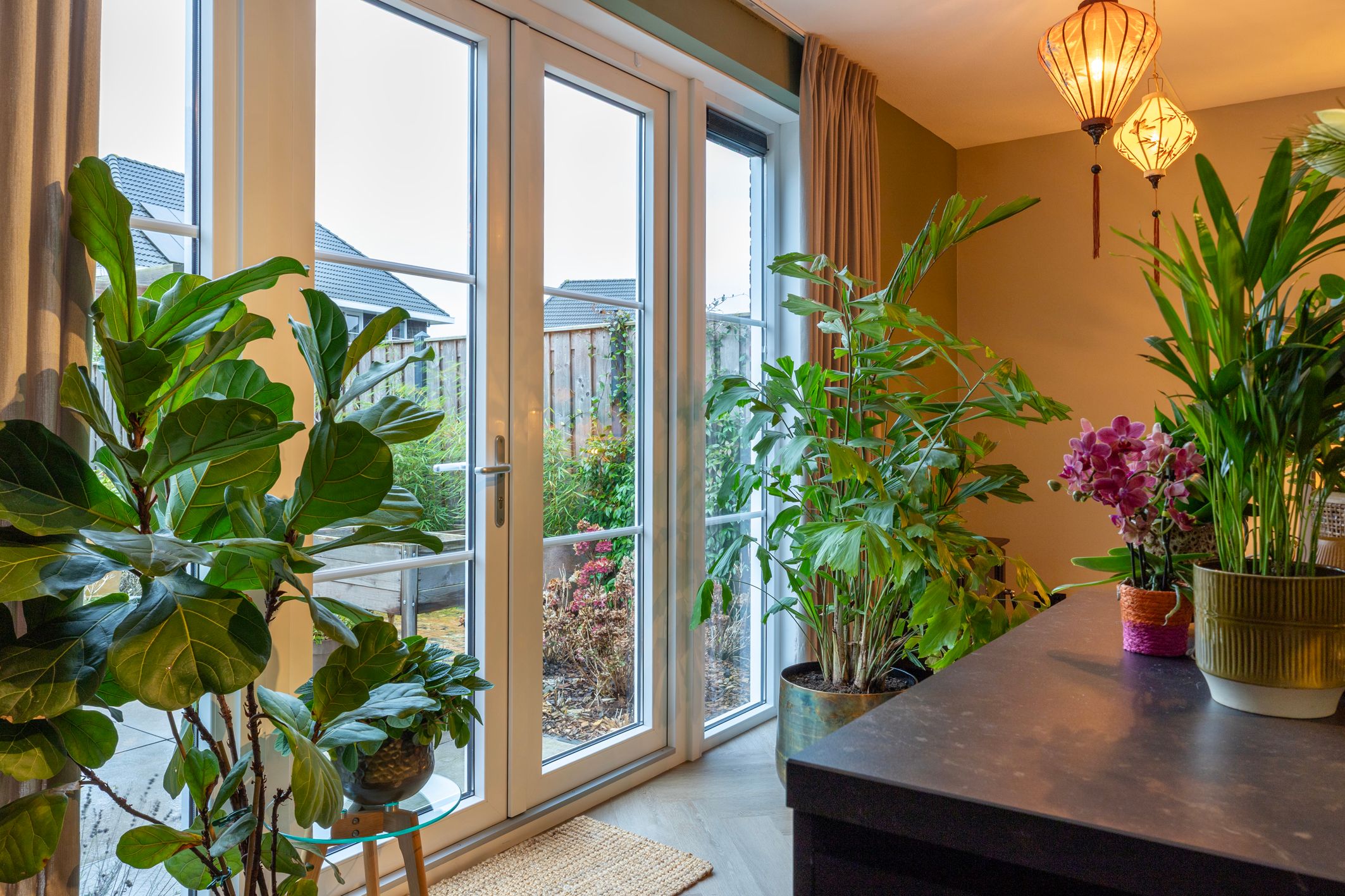 Foto 18 van Peloton 8