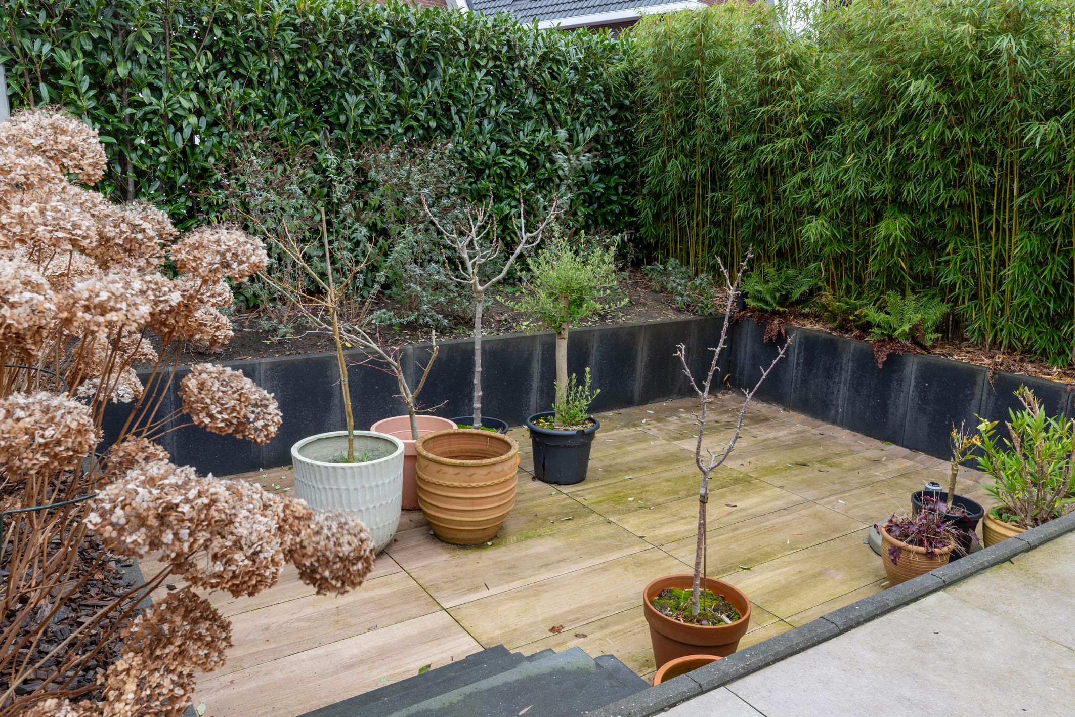 Foto 48 van Peloton 8