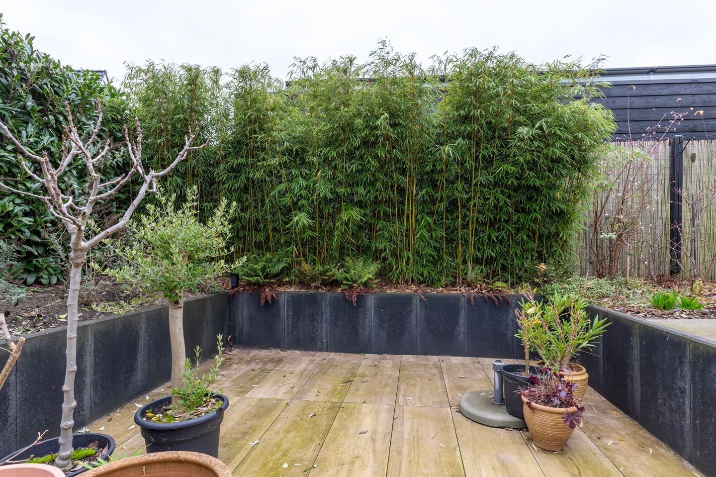 Foto 49 van Peloton 8