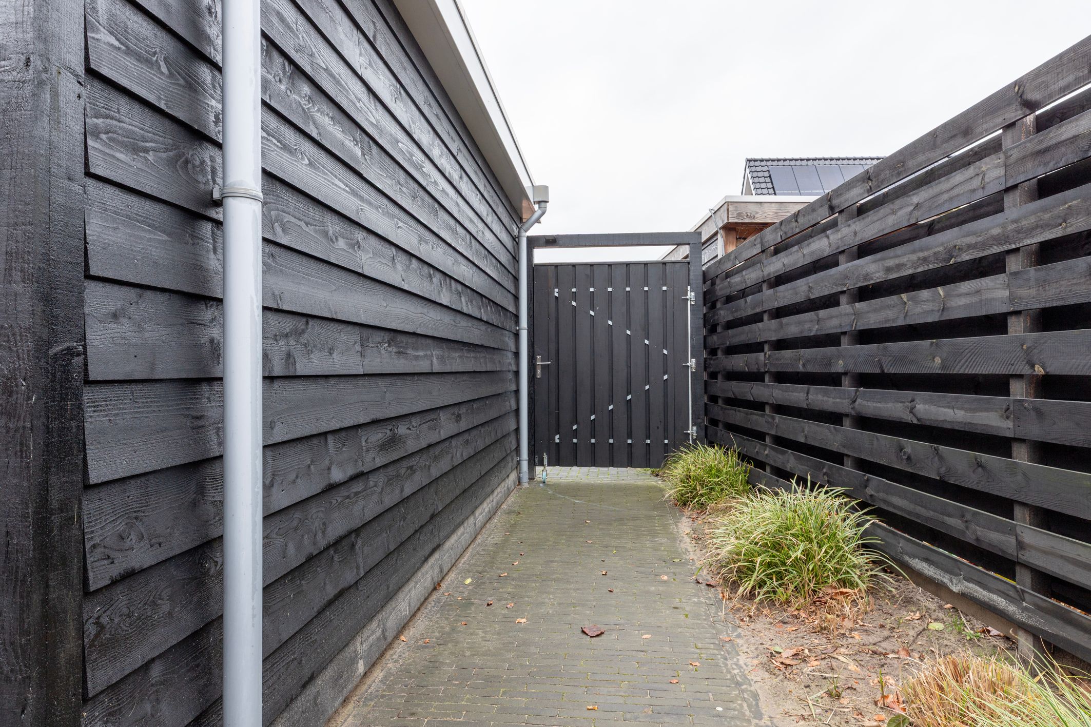 Foto 54 van Peloton 8