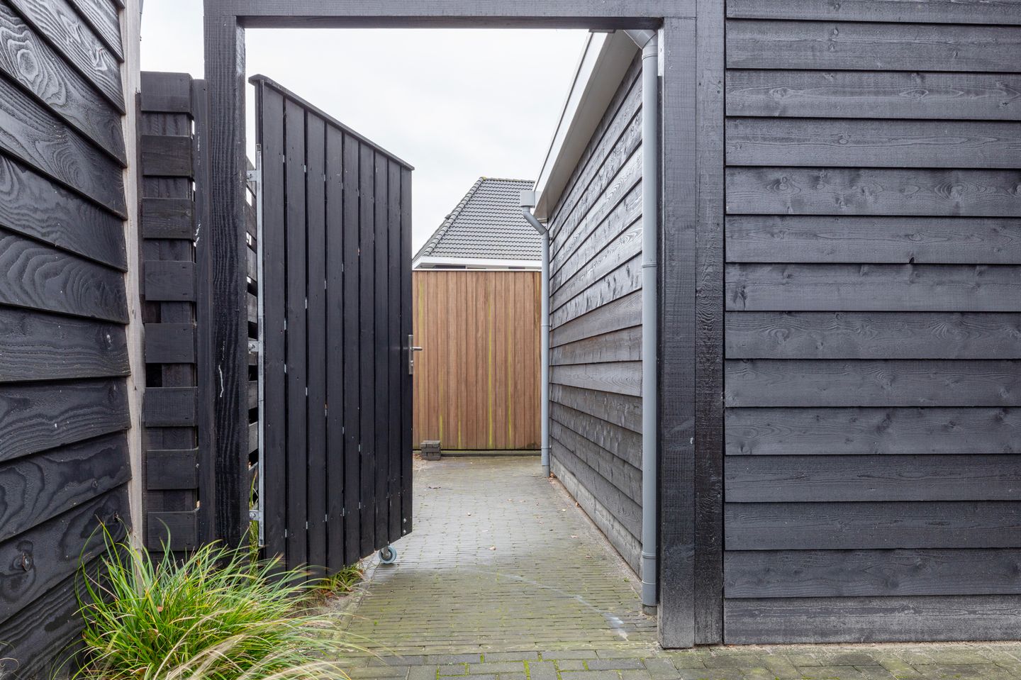 Foto 55 van Peloton 8