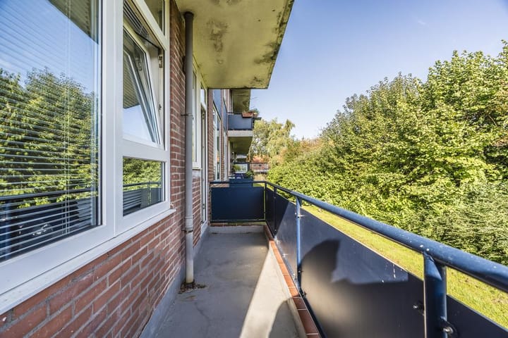 Foto 19 van Iepenlaan 1