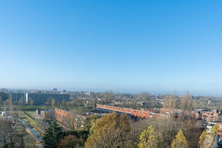 Foto 3 van Antje Breijerstraat 257