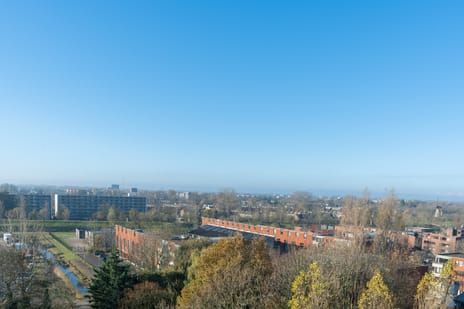 Antje Breijerstraat 259 secondary image