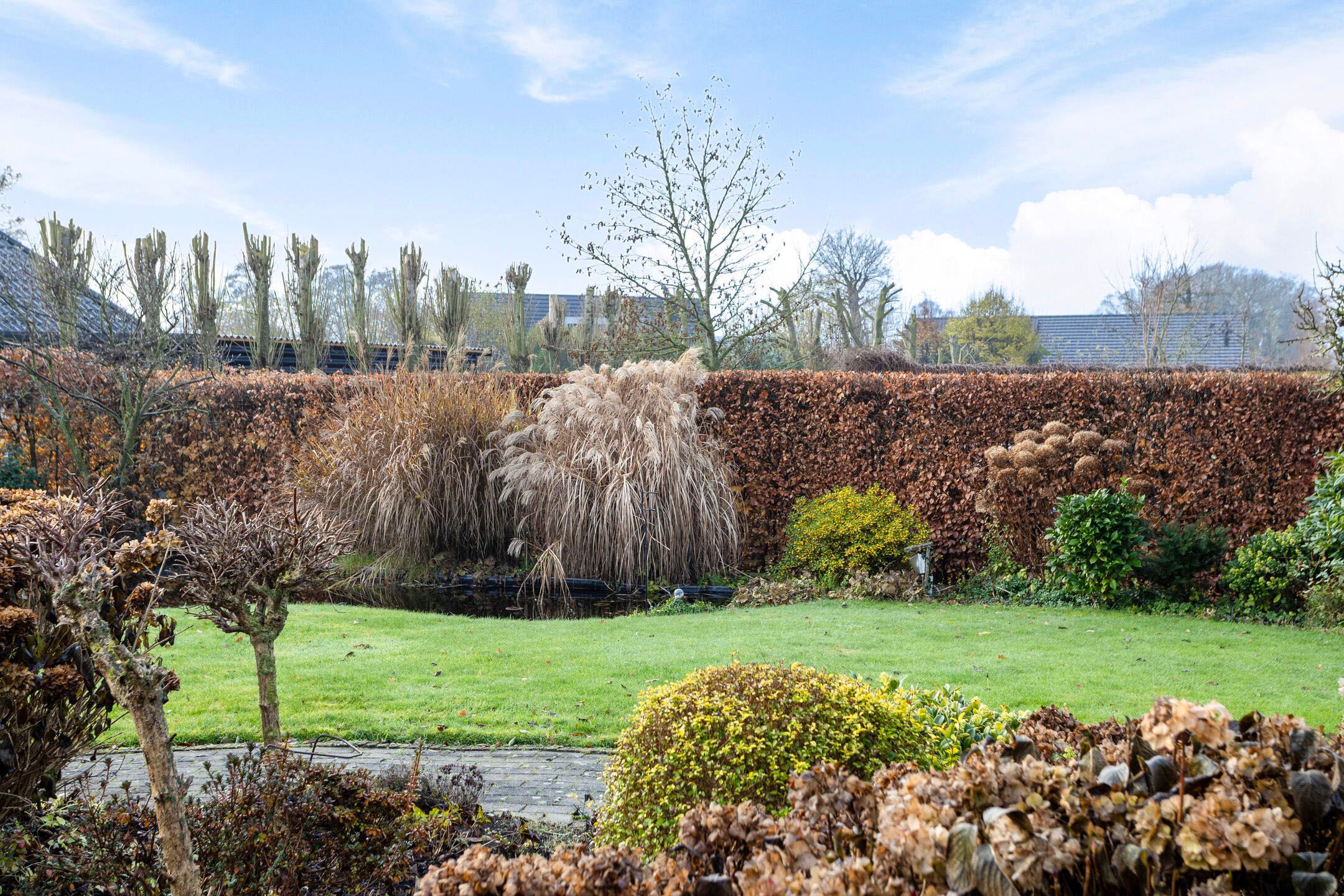 Photo 45 of Speltakker 3