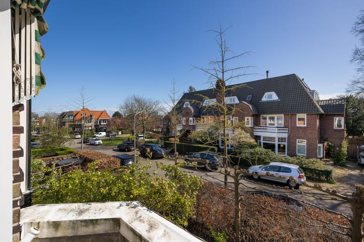 Foto 31 van Rijnegomlaan 3