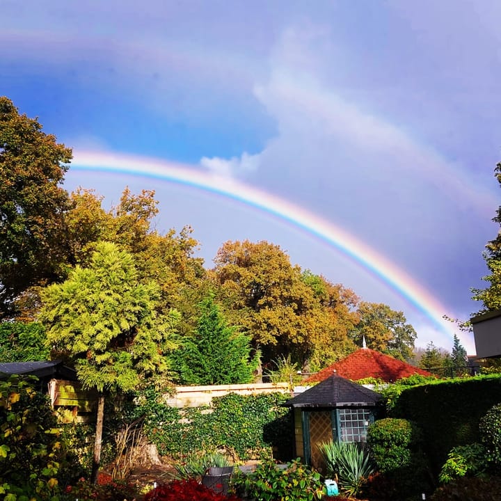 Foto 46 van Rijnegomlaan 3